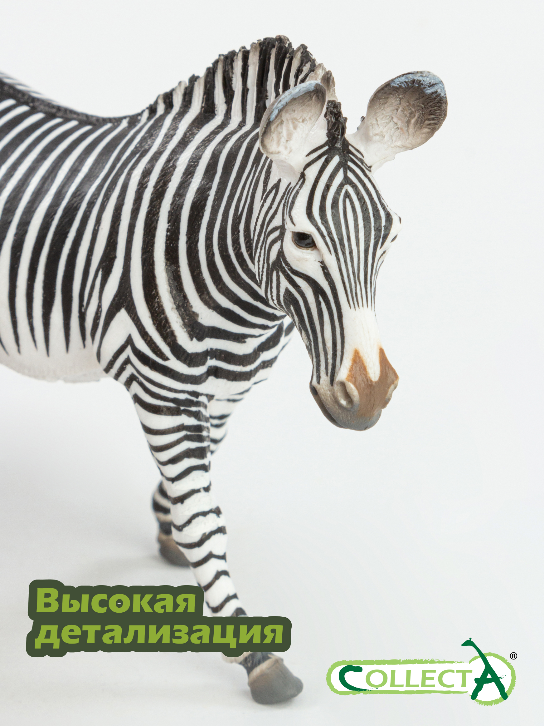 Фигурка Collecta Зебра Греви - фото 3