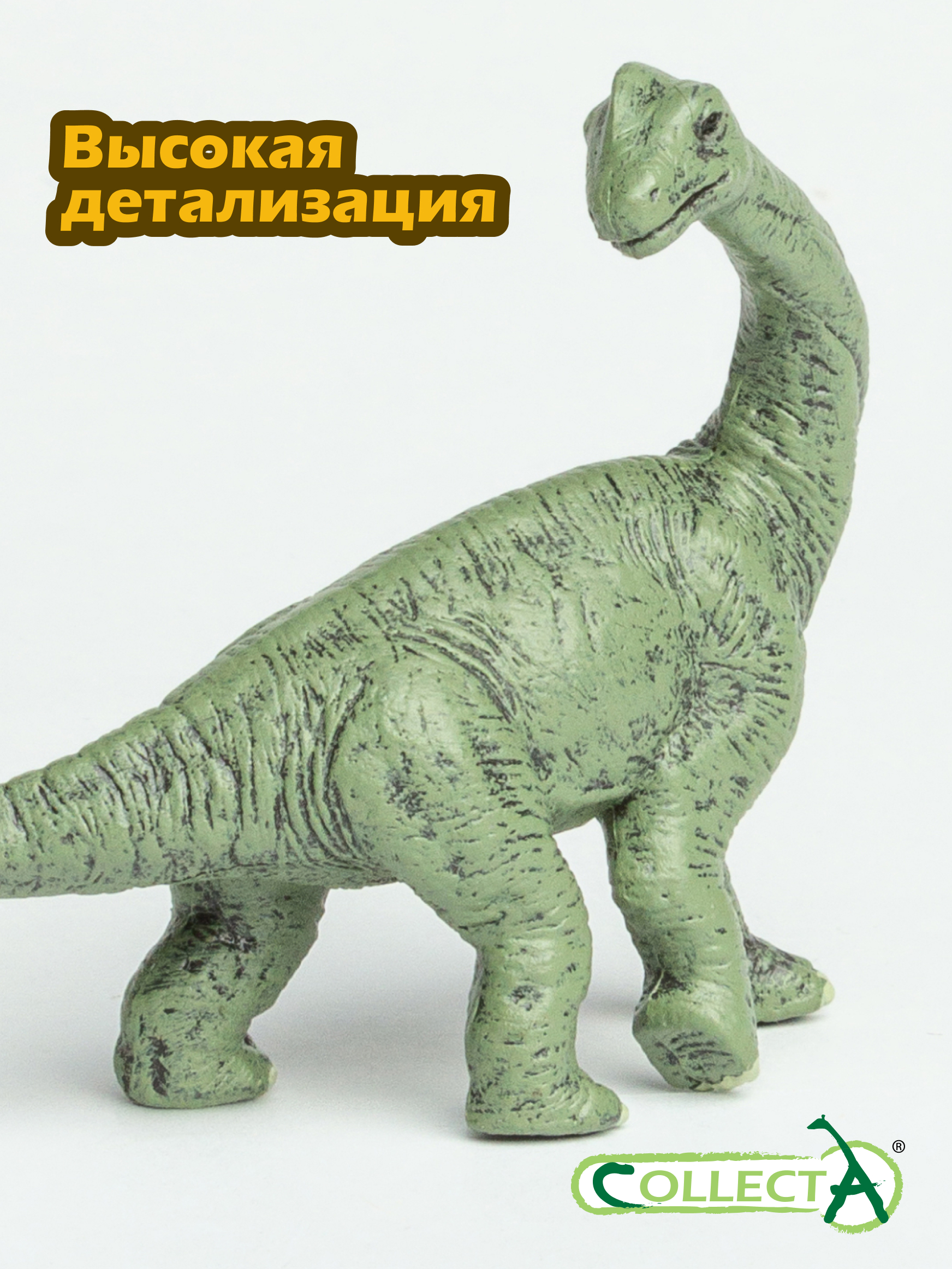 Фигурка Collecta Детёныш Брахиозавра - фото 3