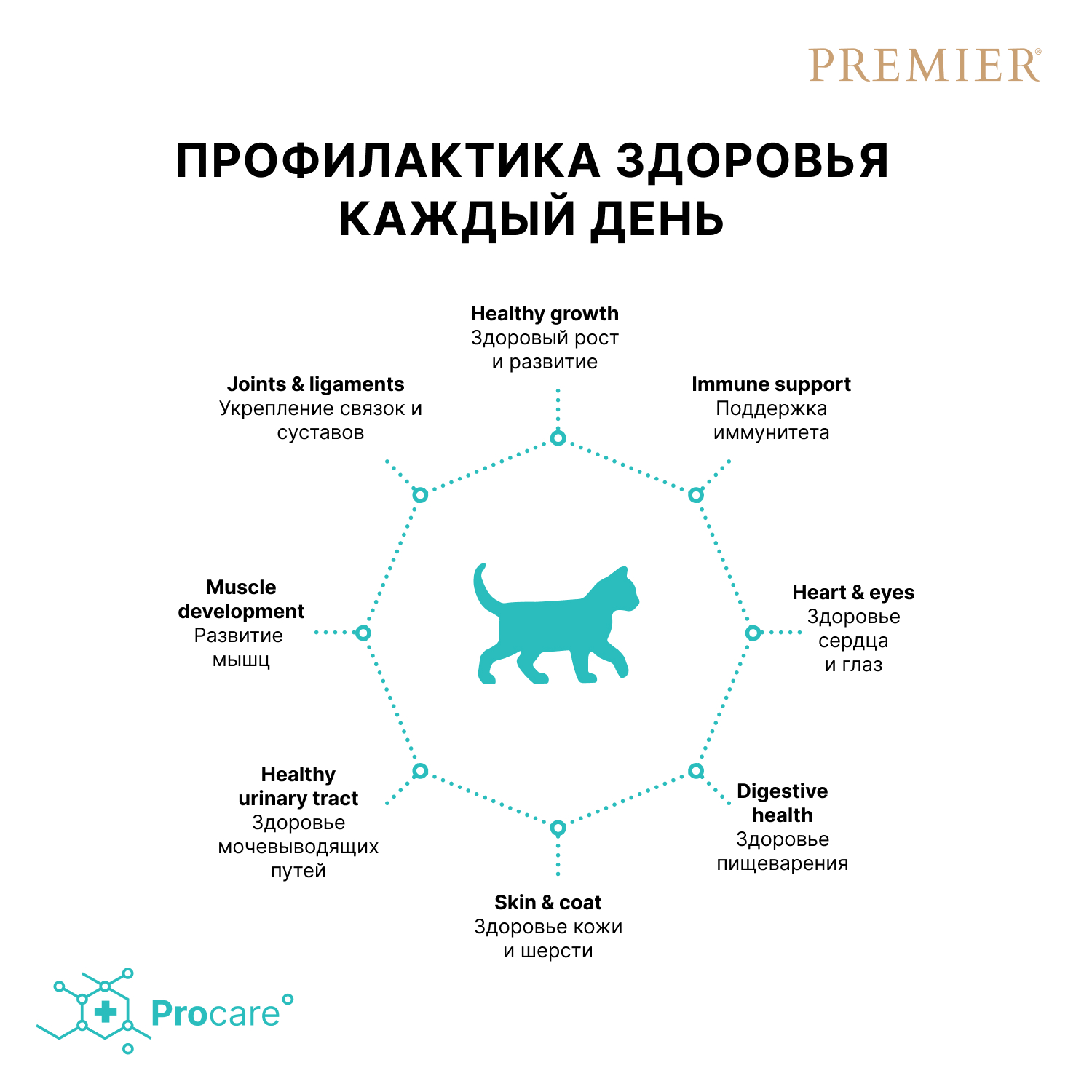 Корм для котят PREMIER 400г свежая индейка - фото 5