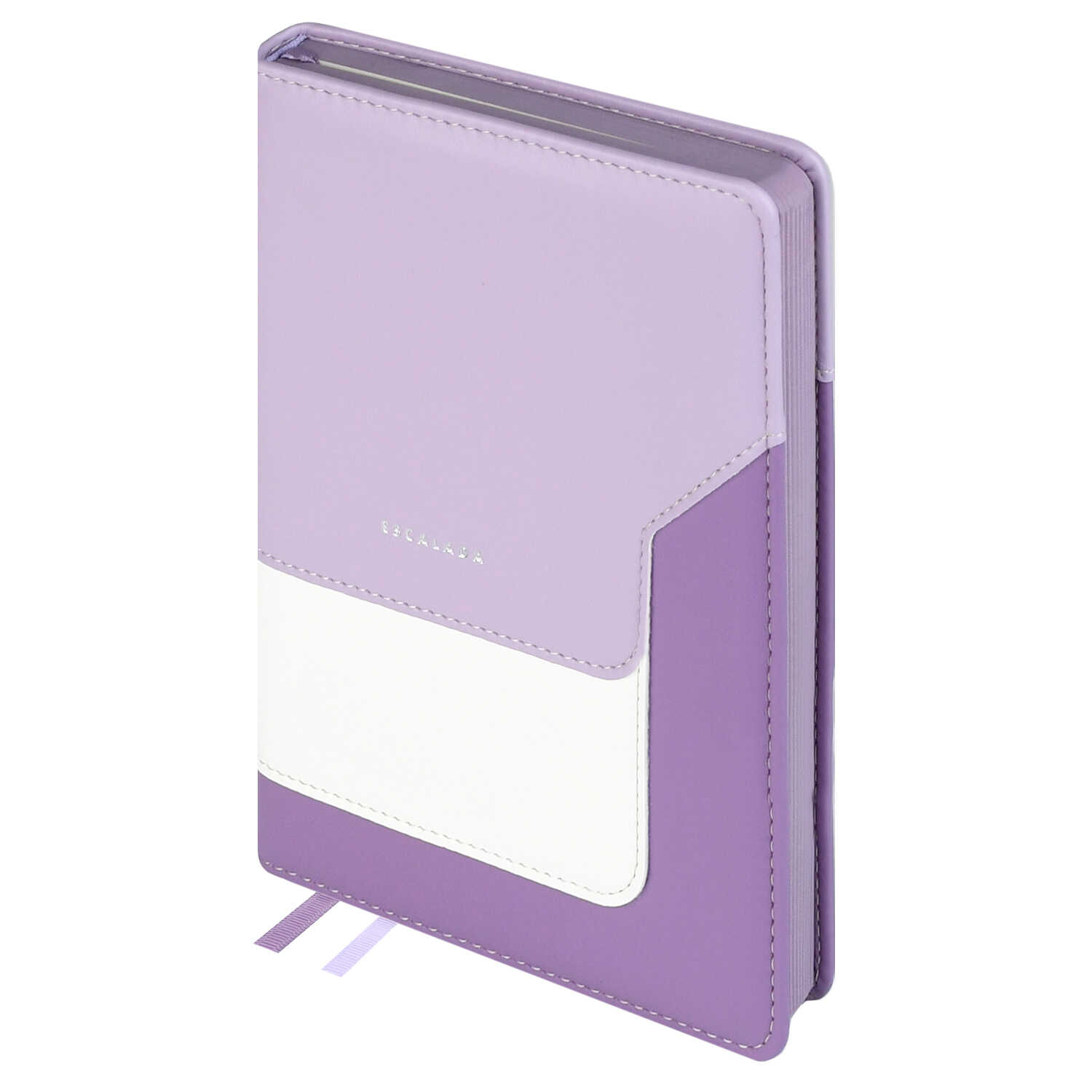 Ежедневник Феникс + ESCALADA 160 лист. - фото 3