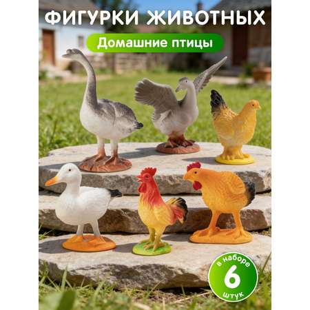 Игровой набор DARWIN Животные Домашние птицы 6шт