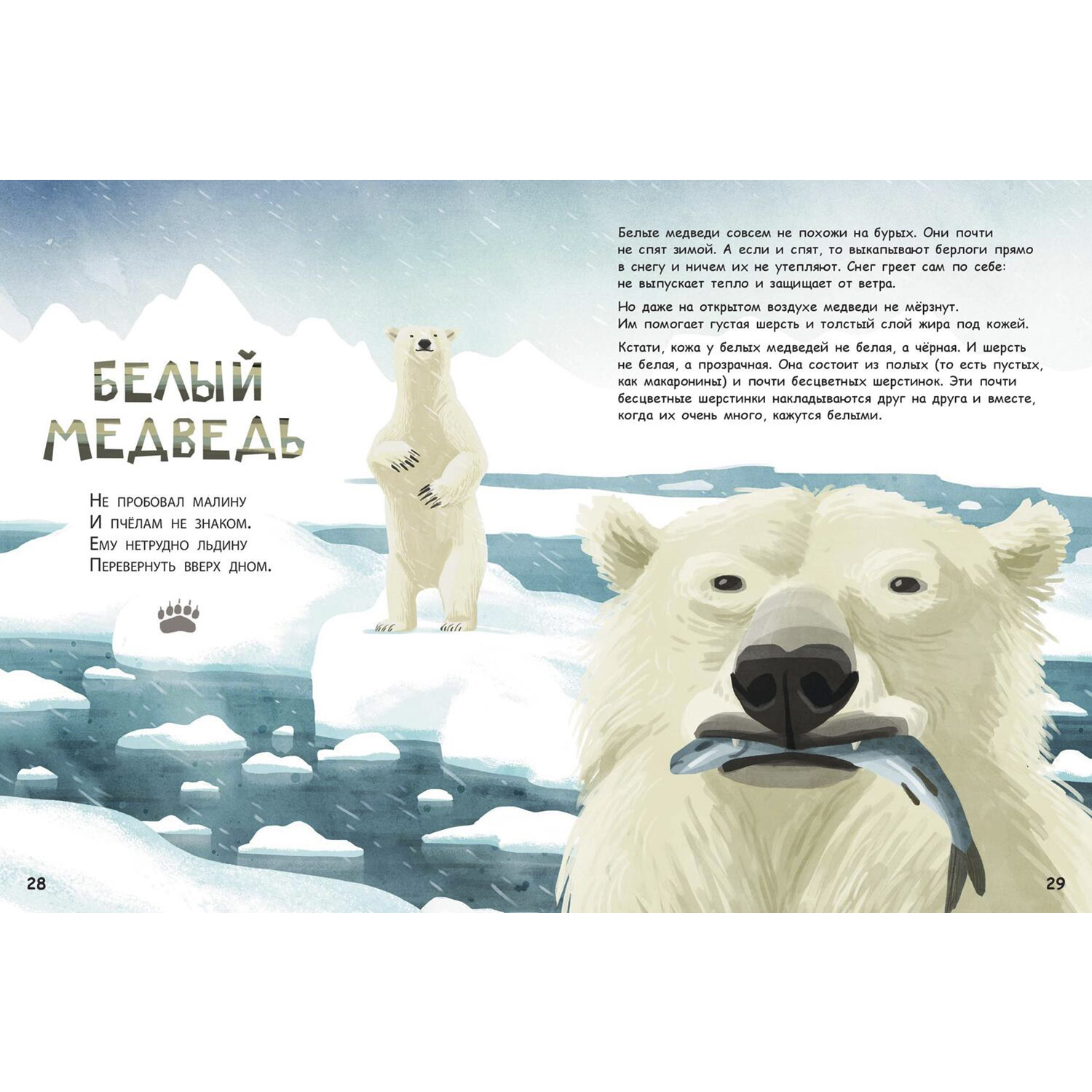 Книга ЭНАС-книга Они такие разные! - фото 8