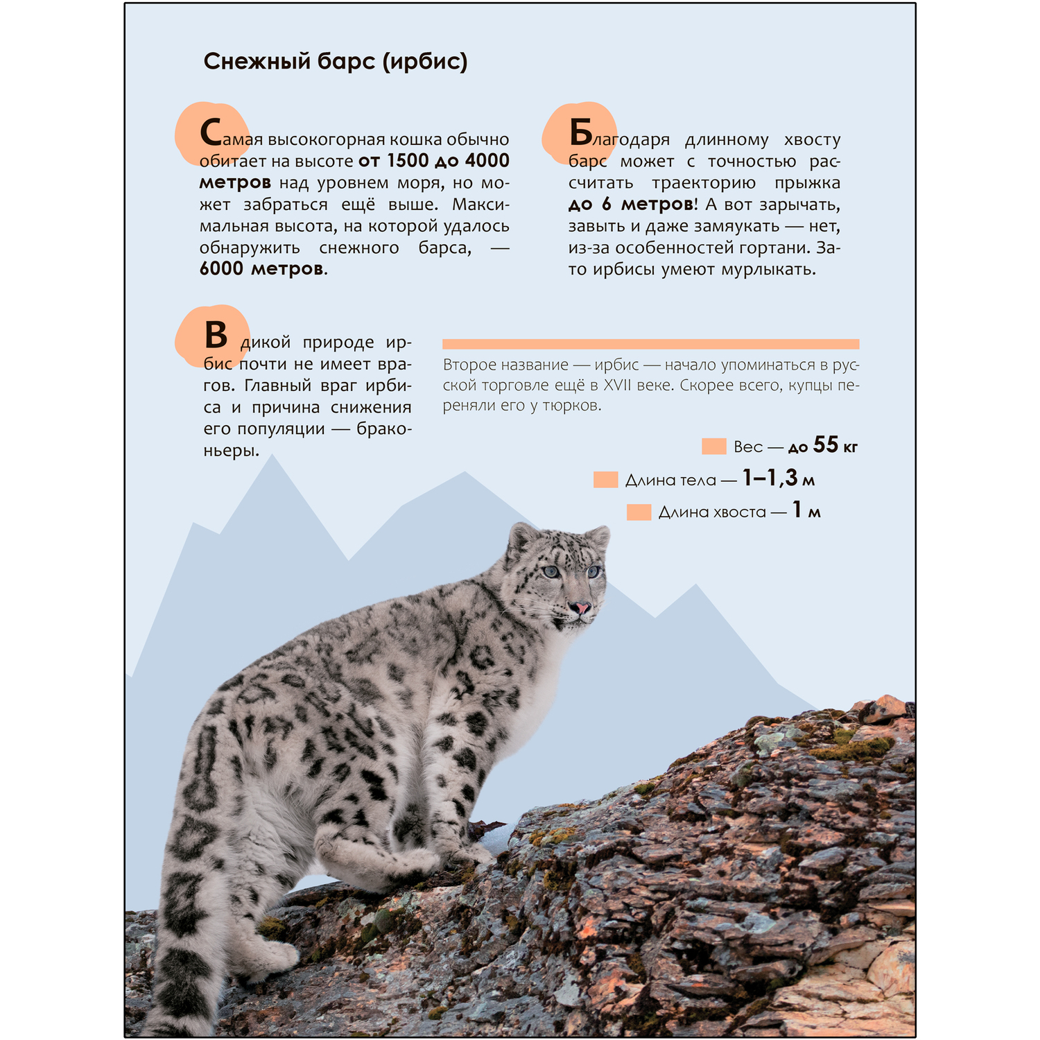 Книга МОЗАИКА kids Детская энциклопедия Красная книга - фото 5