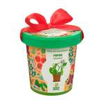 Набор для выращивания Happy Plant