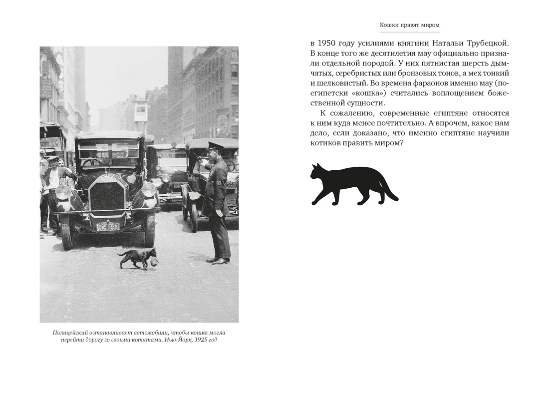 Книга АЗБУКА Диаз Мигель А Педраза Э Кошки правят миром - фото 17