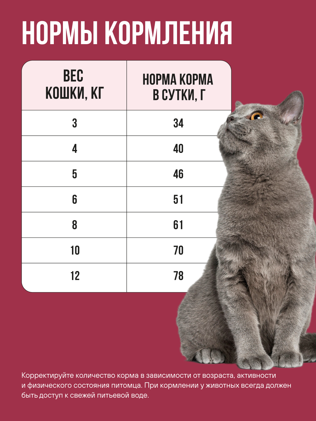 Корм сухой полнорационный BOWL WOW для стерилизованных кошек с индейкой курицей и свеклой 4 кг - фото 4