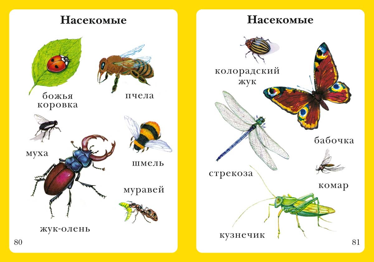 Книга Белый город Моя первая книга - фото 8