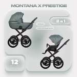 Коляска 2в1 Riko Basic Montana X Prestige зеленый
