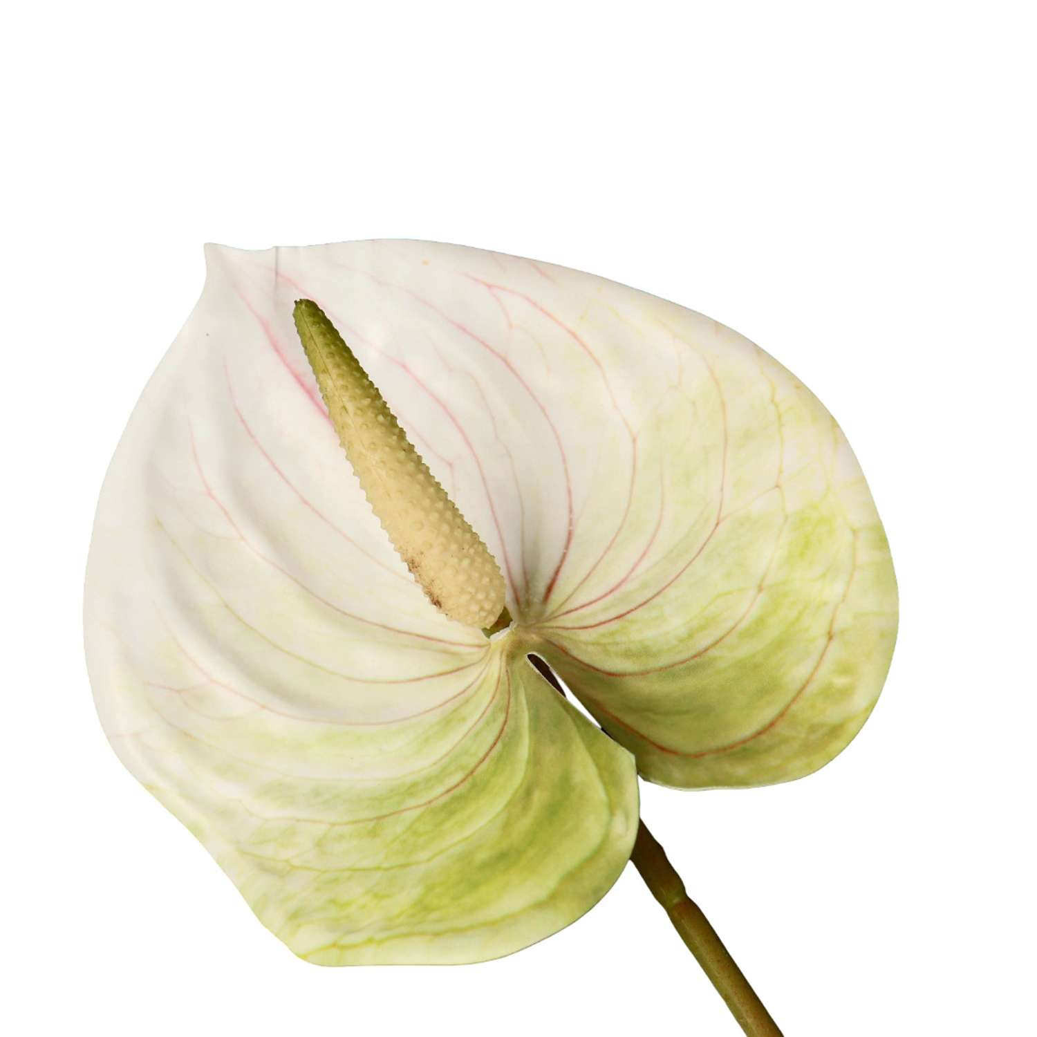 Цветы искусственные Poetry in Flowers Антуриум в ассортименте - фото 5
