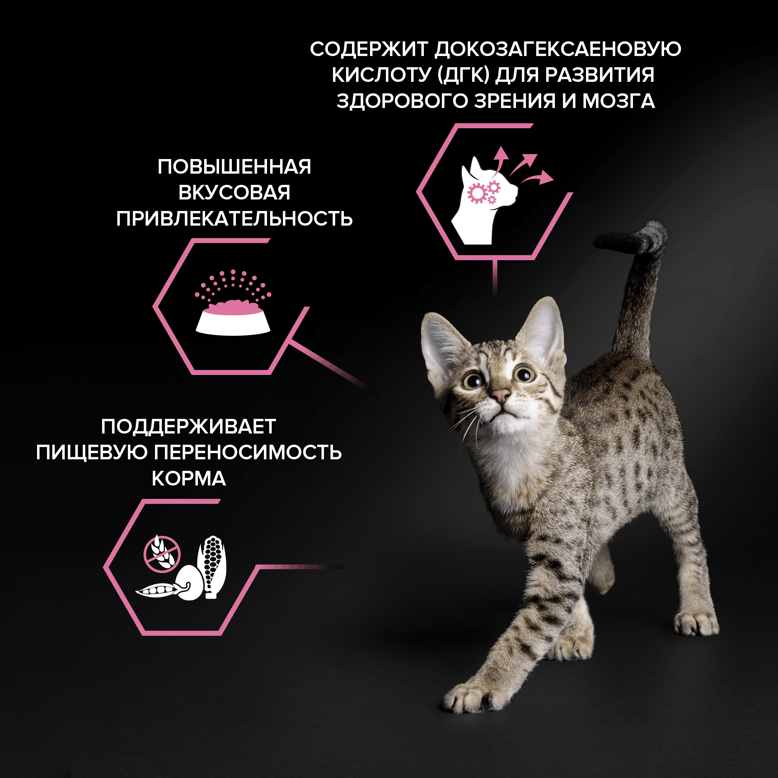 Корм для котят PRO PLAN Delicate Digestion с индейкой 400+200г - фото 8