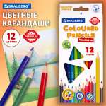 Карандаши цветные Brauberg 12 шт.