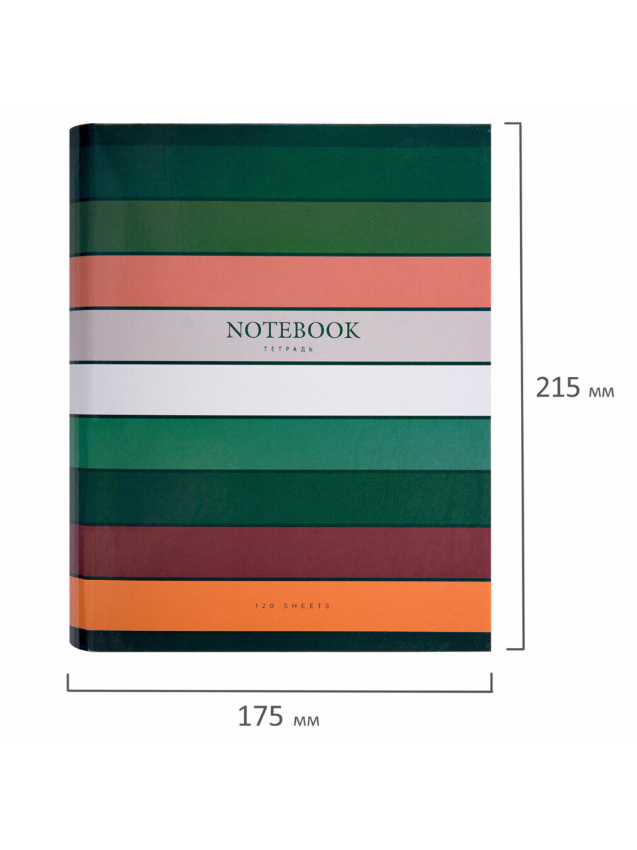 Тетрадь со сменным блоком Brauberg клетка 120 лист. - фото 6