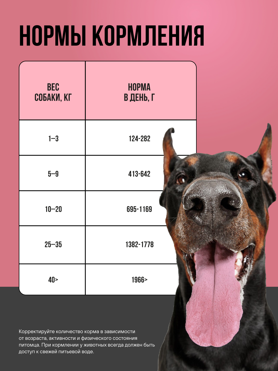 Полнорационный влажный корм BOWL WOW для взрослых собак всех пород с говядиной и овощами 100г - фото 6