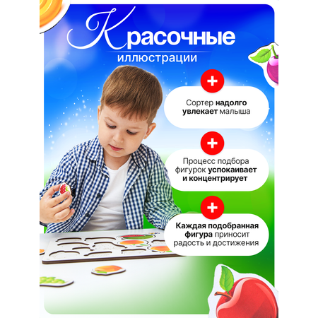 Игрушка ГРАТ сортер Фрукты