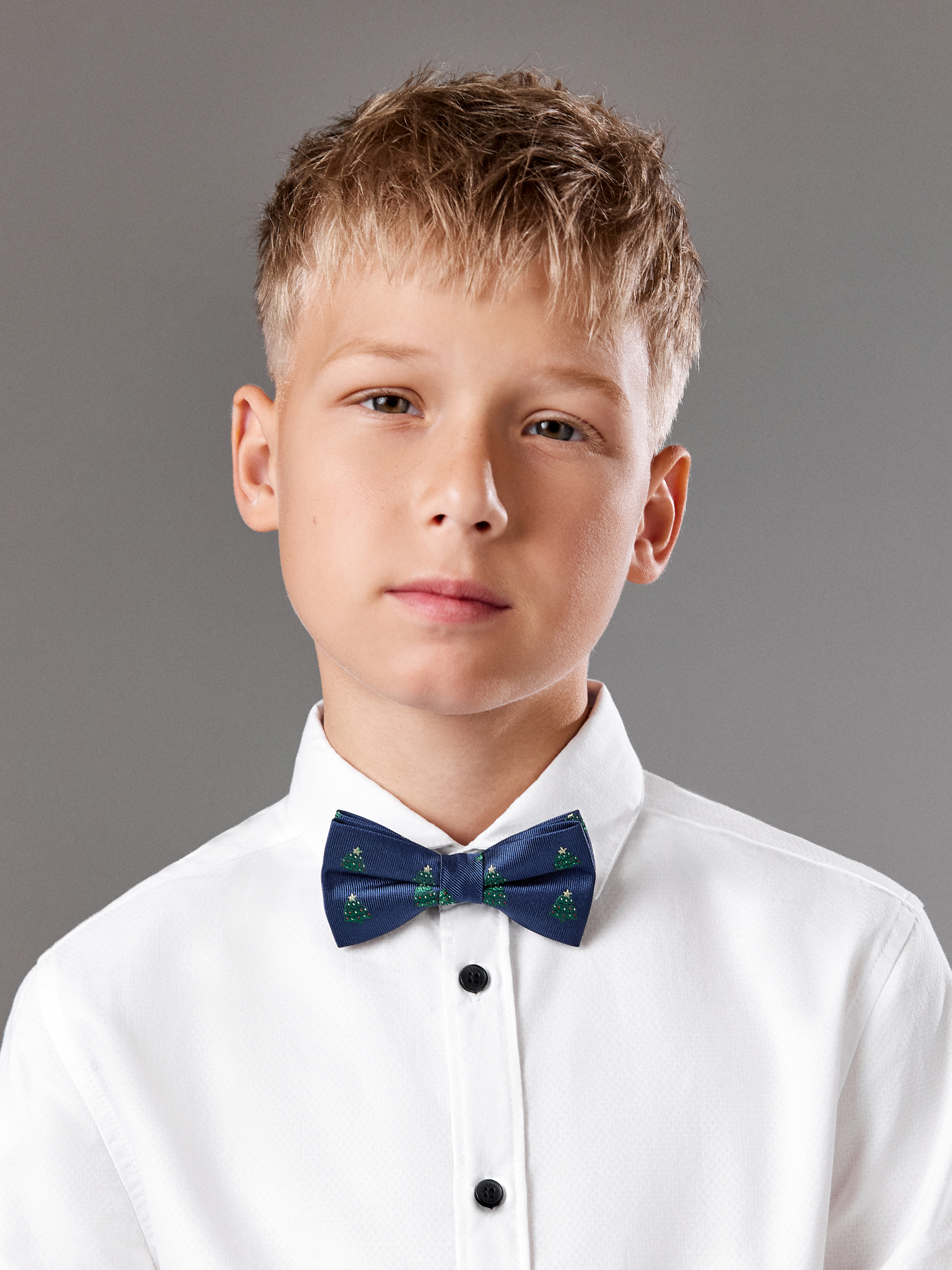 Галстук-бабочка Acoola 20106460107_0093588 - фото 1