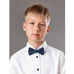 Галстук-бабочка Acoola