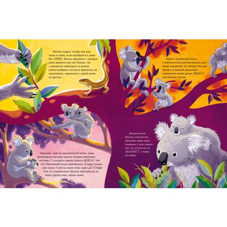 Удивительные животные Clever Маленький коала. Приключения в эвкалиптовом лесу/Шармахер-Шрайбер К.
