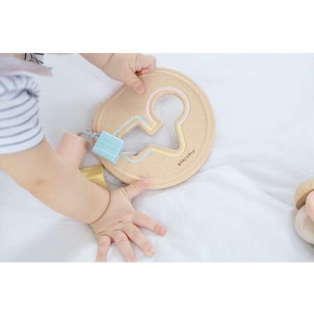 Игрушка Plan Toys сортер