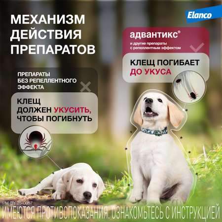 Капли для собак Elanco Адвантикс до 4кг против блох и клещей 1пипетка