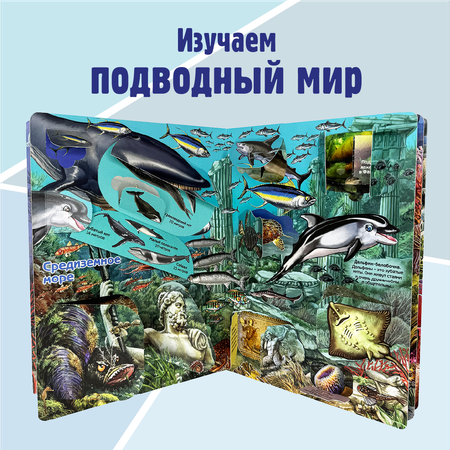Энциклопедия с окошками БимБиМон книга детская