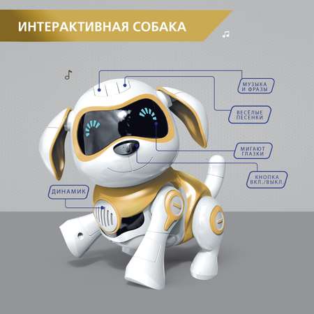Собака РУ Sima-Land Чаппи