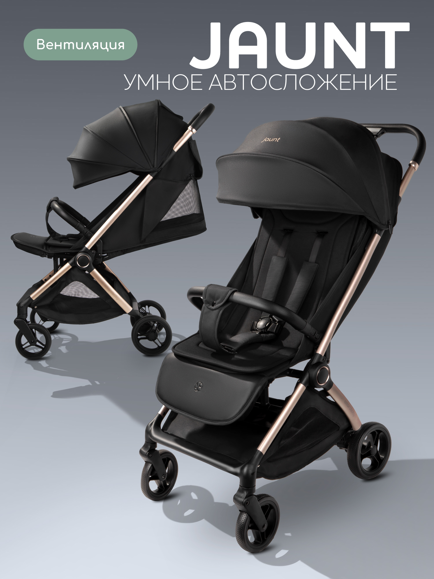 Коляска прогулочная Amarobaby Jaunt черный - фото 1