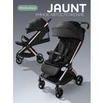 Коляска прогулочная Amarobaby Jaunt черный