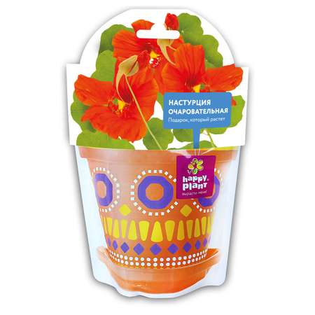 Набор для выращивания Happy Plant