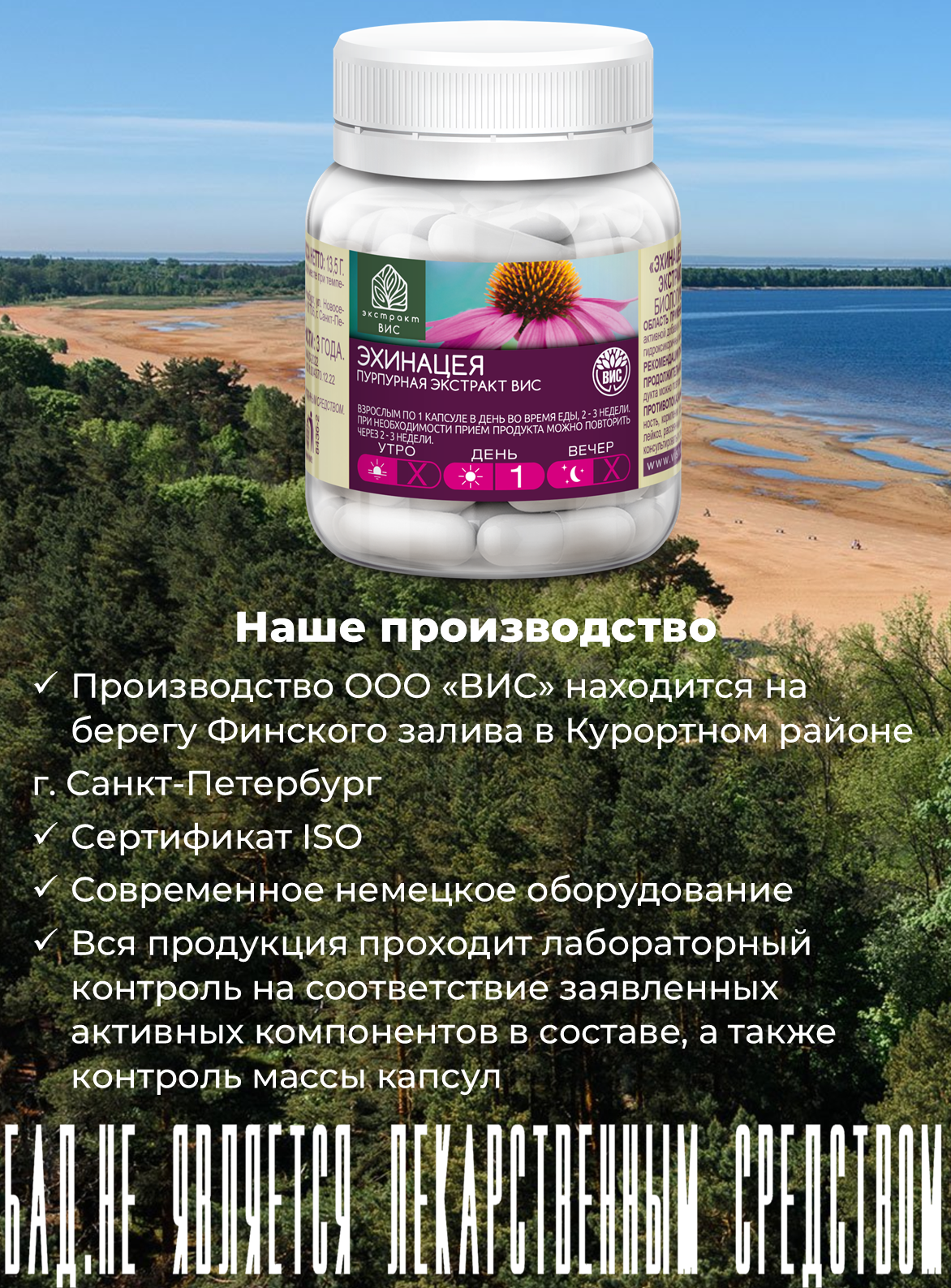 БАД Экстракт-ВИС Эхинацея пурпурная с витаминами С и Е - фото 8