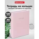 Тетрадь со сменным блоком Brauberg клетка 120 лист.