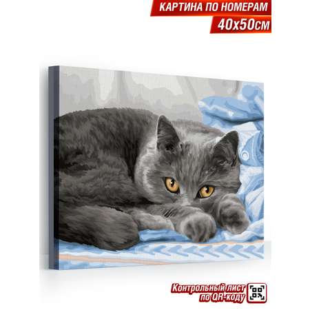Картина по номерам Hobby Paint Милые глазки в ассортименте