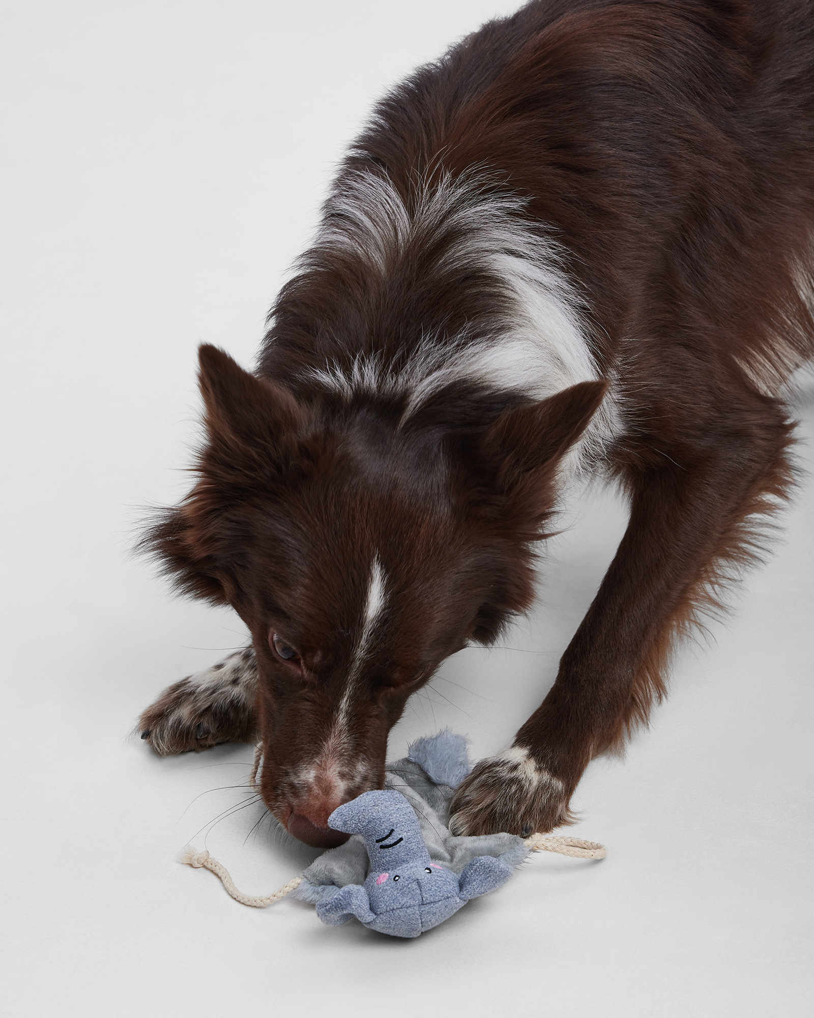 Игрушка для собак Barbaks Слонёнок плоский с канатиком шуршит 33*26.5 см - фото 9