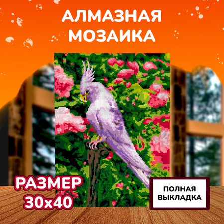 Алмазная мозаика LORI(колорит)