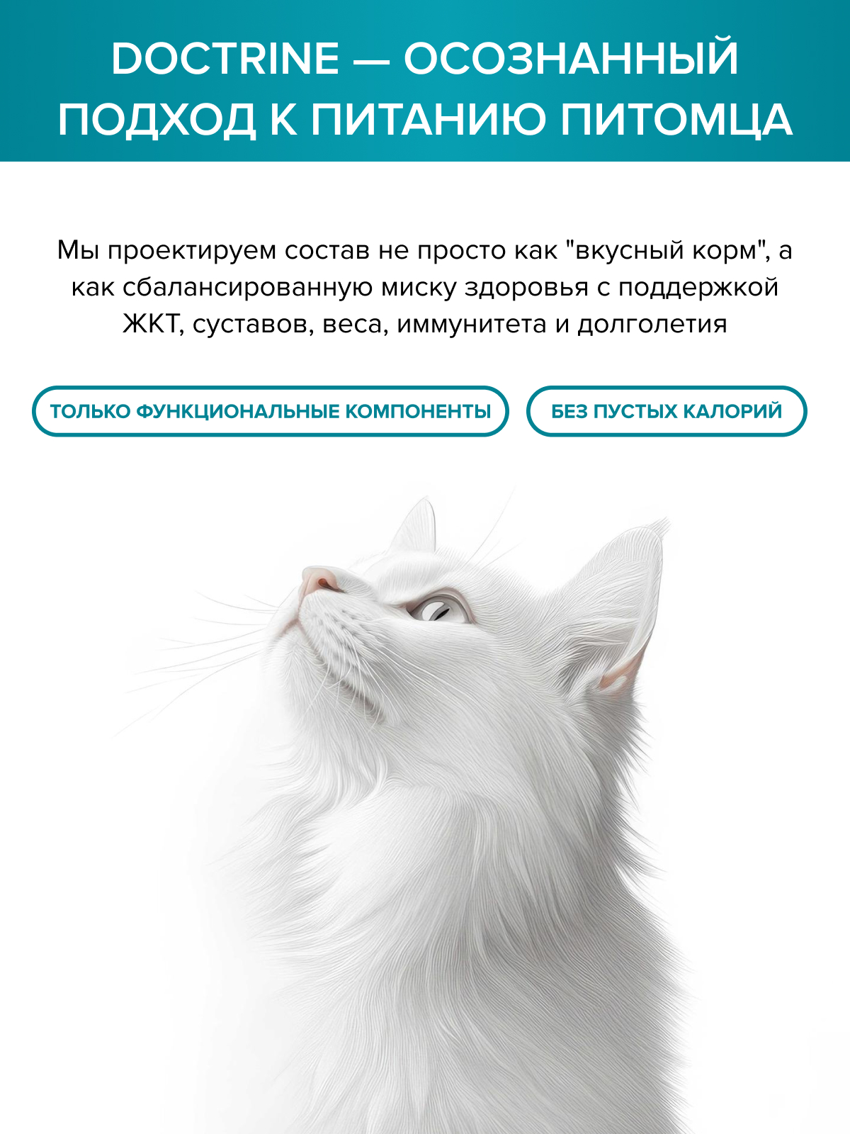 Корм для кошек DOCTRINE сухой для стерилизованных и кастрированных котов с индейкой и лососем 3 кг - фото 10