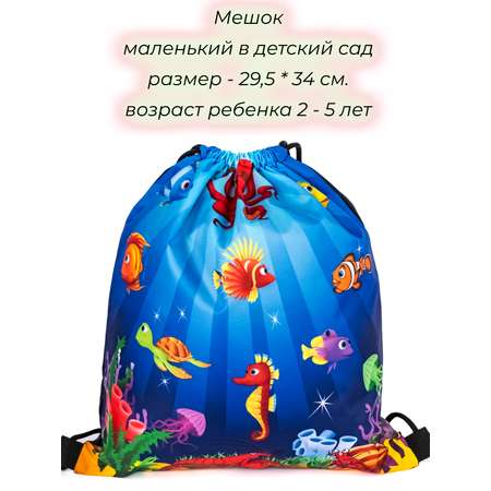 Мешок для обуви Darika