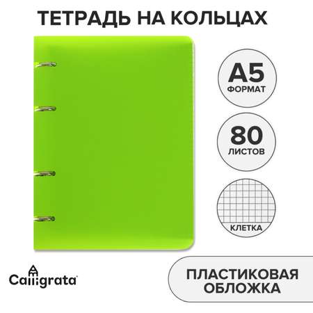 Общая тетрадь Calligrata клетка 80 лист.