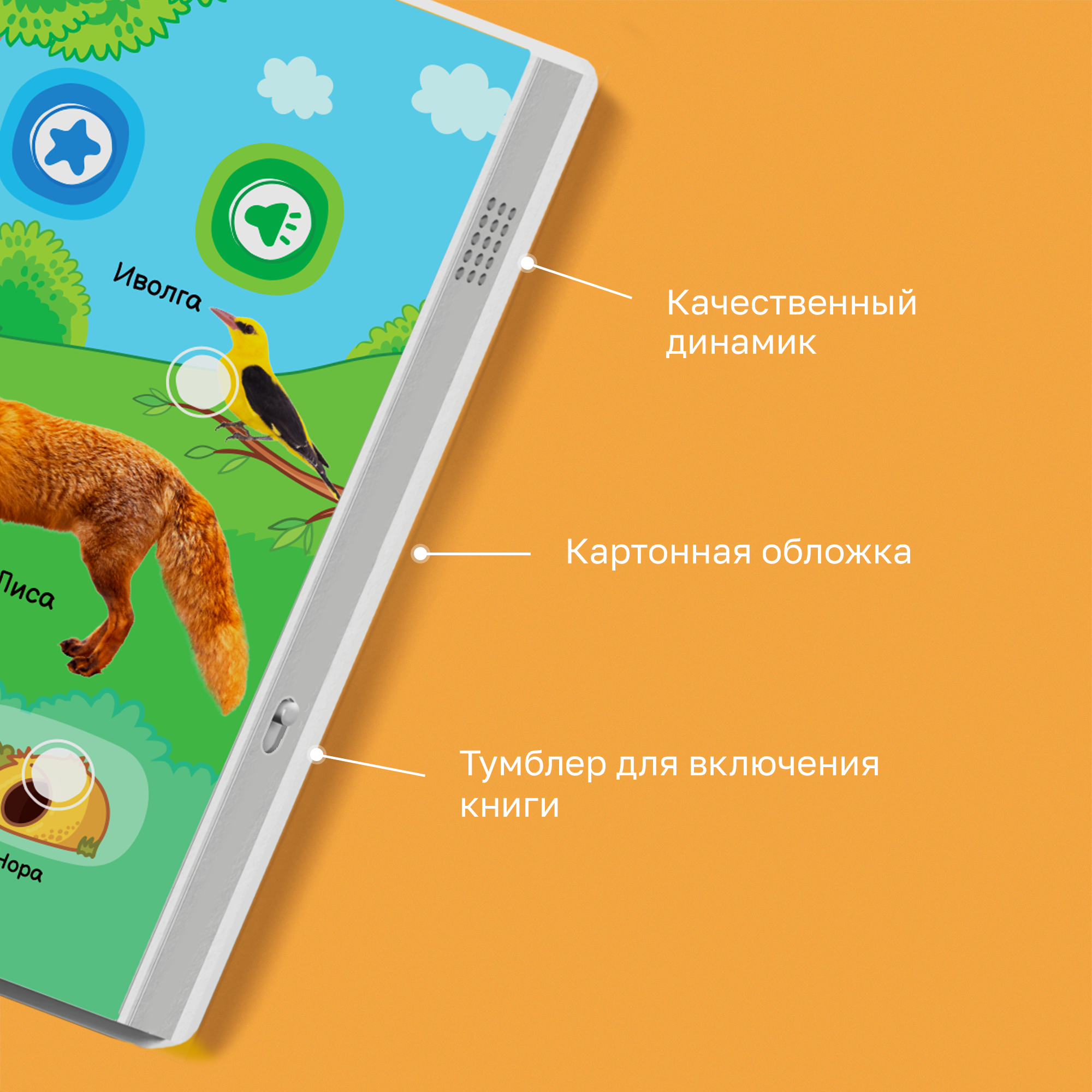 Книга нажималка говорящяя Всё о животных маленькая - фото 14