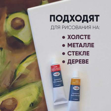 Краски масляные Гаммa 24 цв.