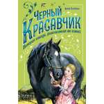 Книга Качели Черный Красавчик