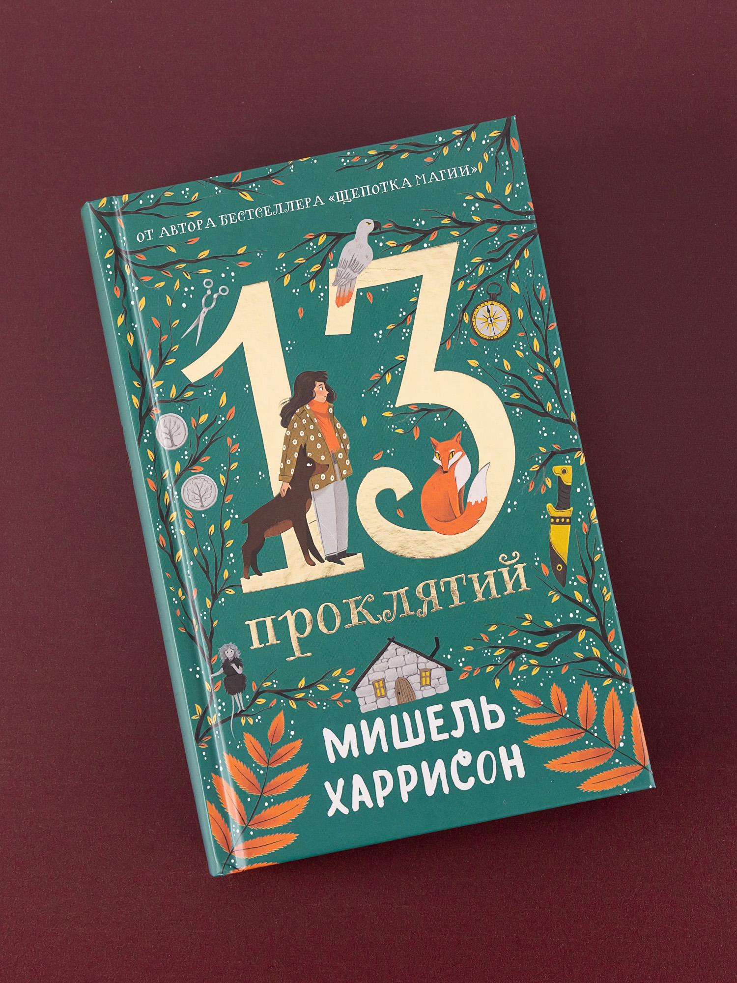 Книга Альпина. Дети 13 проклятий - фото 1