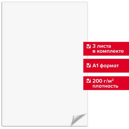 Ватман Brauberg