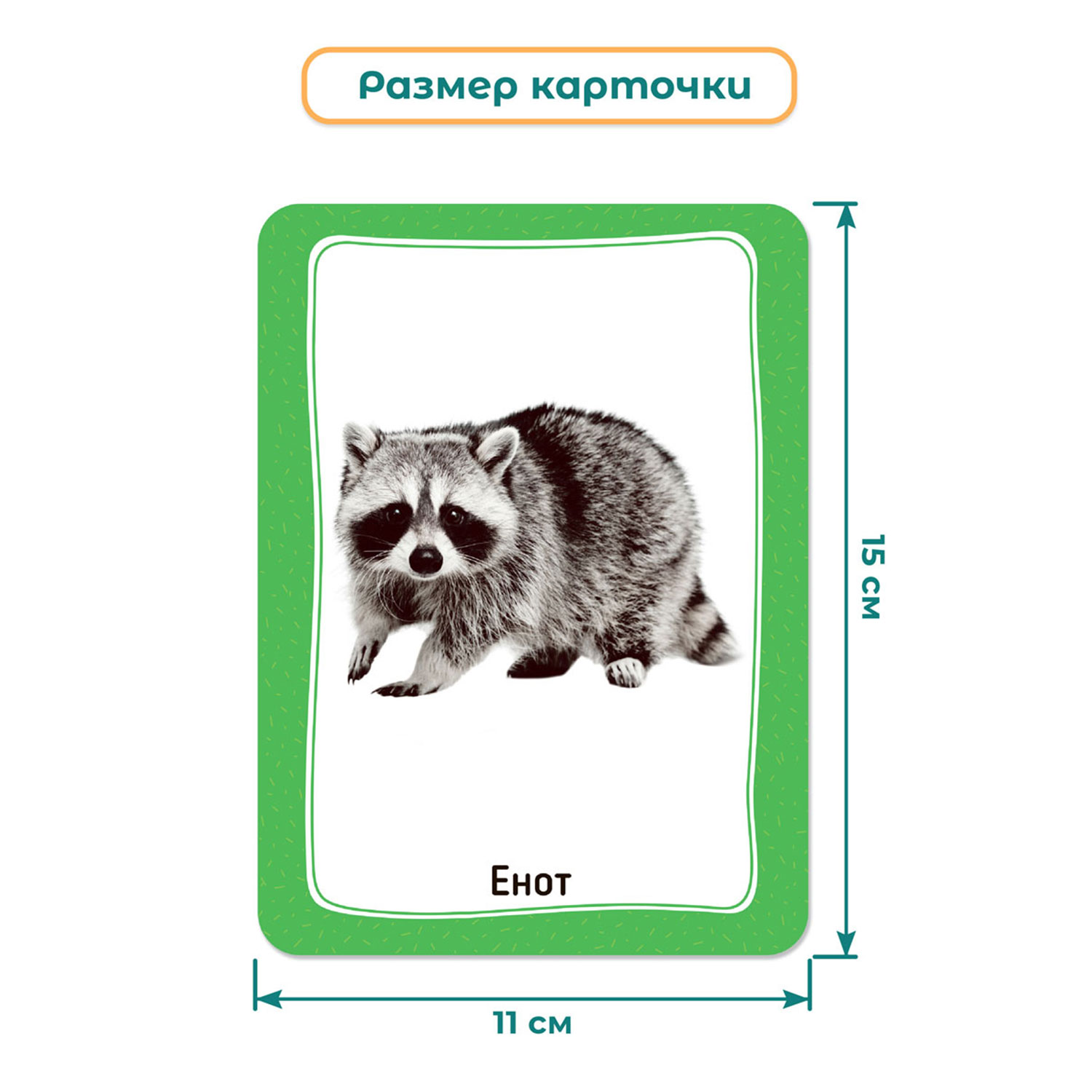 Настольная игра BertToys Первые животные - фото 7