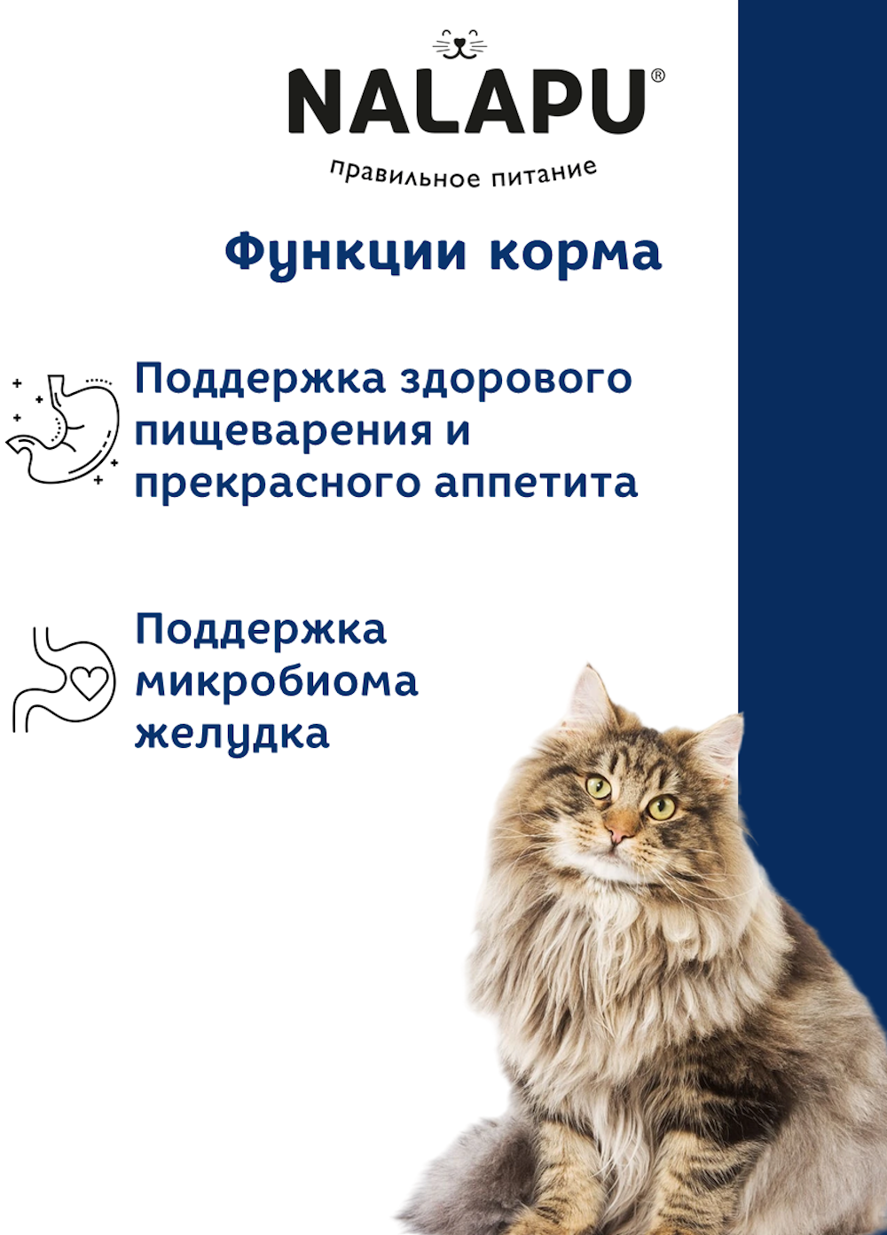 Корм для кошек NALAPU The Best Appetite с мясом телятины и куриными сердечками в соусе 77г - фото 3