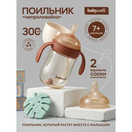 Поильник BabyWell 300 мл 1 шт.