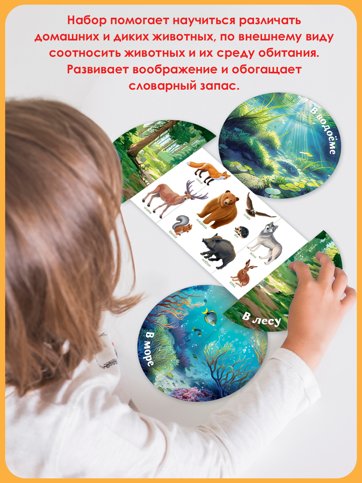 Карточки Открытая планета Кто и где живёт - фото 4