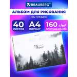 Альбом Brauberg А4