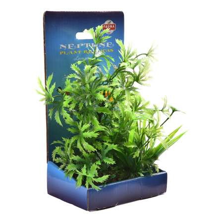 Растение для аквариума FAUNA Композиция-66 FIAD-1312