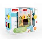 Игрушка Fisher Price сортер