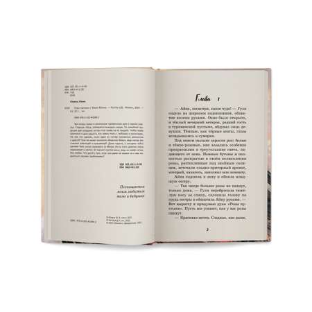 Книга ОКно Розы пустыни