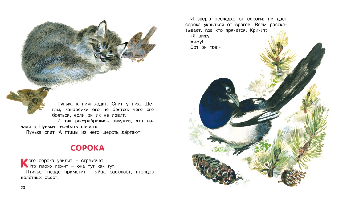 Книга Махаон Друзья. - фото 6